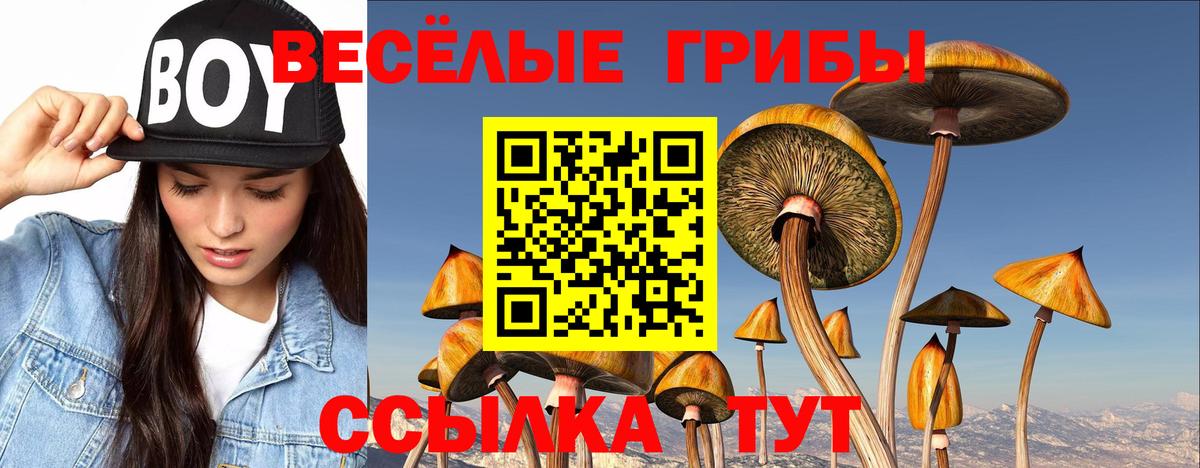 Галлюциногенные грибы GOLDEN TEACHER  Псилоцибиновые грибы мухоморы  Вход с VPN  Жуковский 
