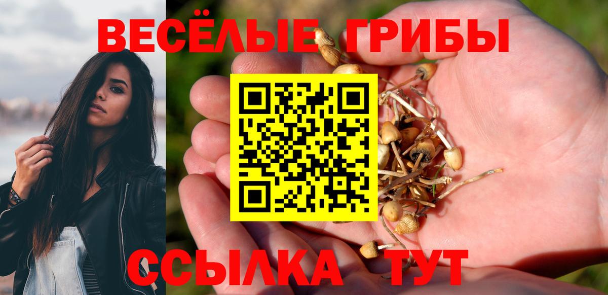 Галлюциногенные грибы GOLDEN TEACHER Жуковский